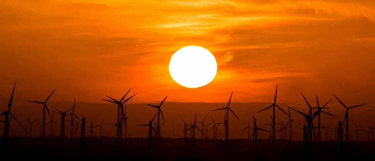 Solar Panels: A Smart Investment for Energy Efficiency