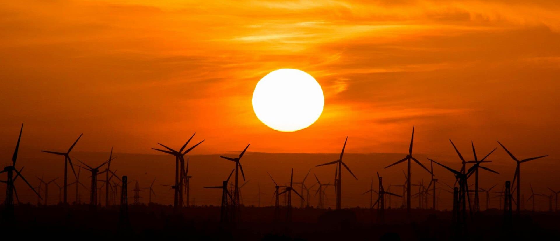 Solar Panels: A Smart Investment for Energy Efficiency